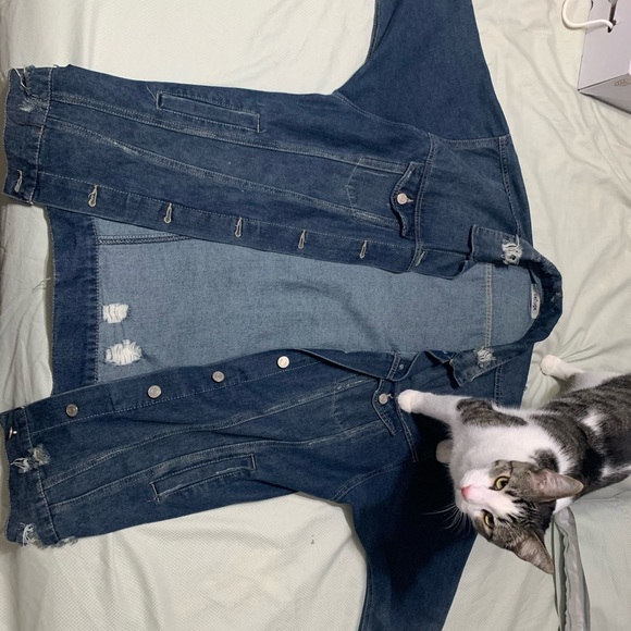 Denim Jacket - Picture 2 of 4